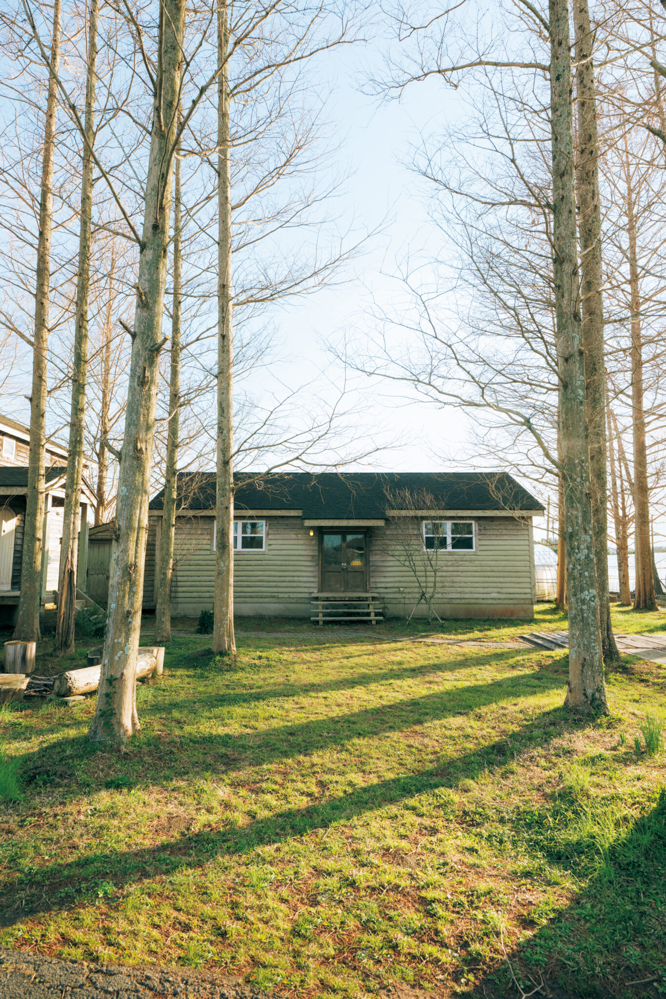 千葉・いすみ市のアンティークショップ『オシヒ』で、フランスを旅する気分を。メタセコイアの木立があったことから、ここへの移住を決めたという。レッドシダーを使った木造の平屋を店にしている。 | メタセコイアの木立があったことから、ここへの移住を決めたという。レッドシダーを使った木造の平屋を店にしている。 千葉・いすみ市のアンティークショップ『オシヒ』で、フランスを旅する気分を。メタセコイアの木立があったことから、ここへの移住を決めたという。レッドシダーを使った木造の平屋を店にしている。 | メタセコイアの木立があったことから、ここへの移住を決めたという。レッドシダーを使った木造の平屋を店にしている。