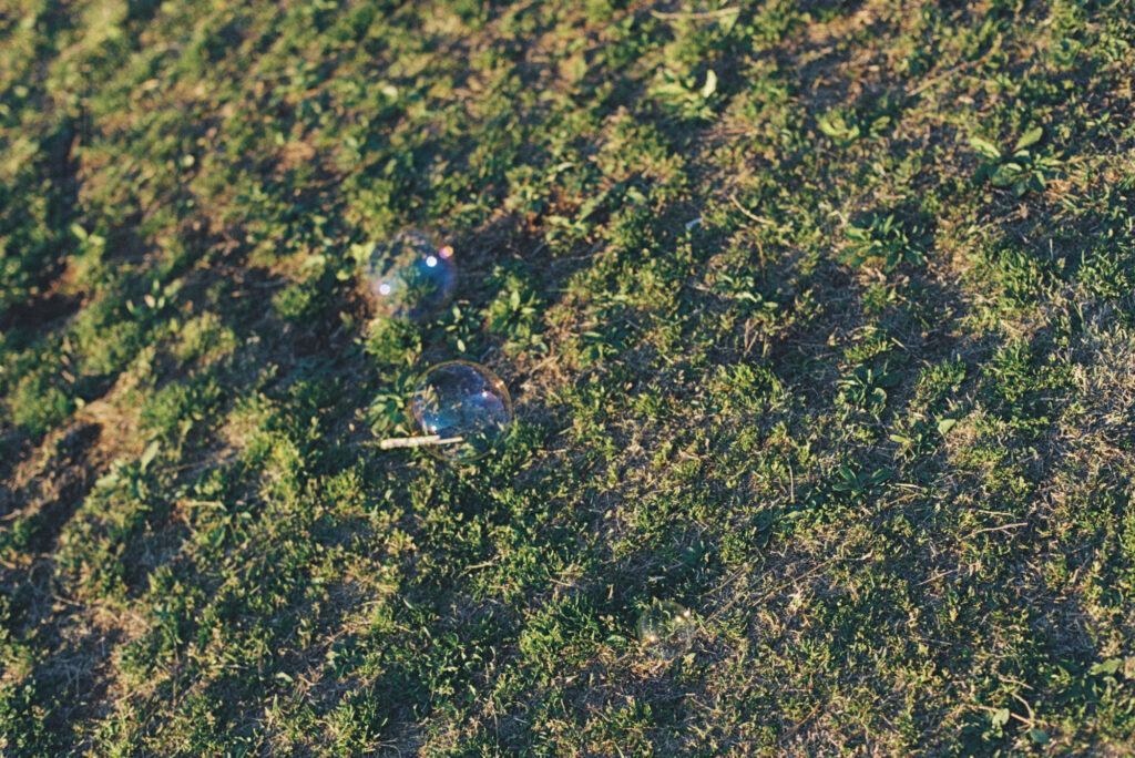 今月の写真家、今日の一枚。安藤 マミコ