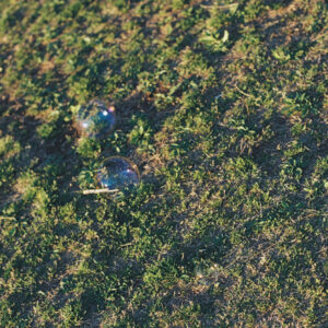 今月の写真家、今日の一枚。安藤 マミコ | 息吹