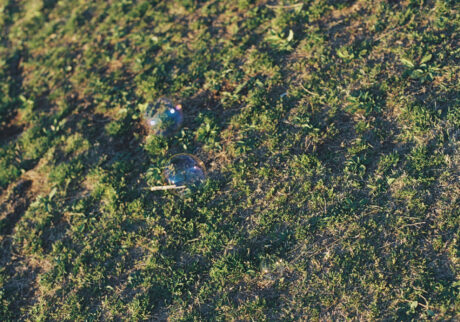 今月の写真家、今日の一枚。安藤 マミコ | 息吹