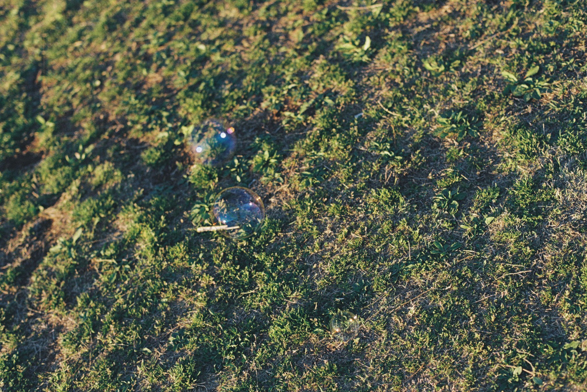 今月の写真家、今日の一枚。安藤 マミコ vol.2