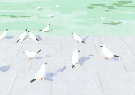 今日1日を、このイラストと。のなか あやみ vol.1 白くとけて (蓮華寺池公園) | 白くとけて (蓮華寺池公園) 今日1日を、このイラストと。のなか あやみ vol.1 白くとけて (蓮華寺池公園) | 白くとけて (蓮華寺池公園)