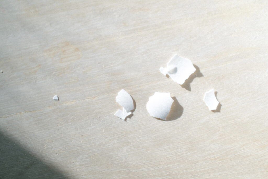 今月の写真家、今日の一枚。安藤 マミコ | 可愛さ 今月の写真家、今日の一枚。安藤 マミコ