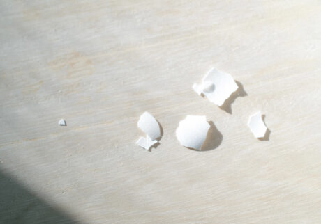 今月の写真家、今日の一枚。安藤 マミコ | 可愛さ