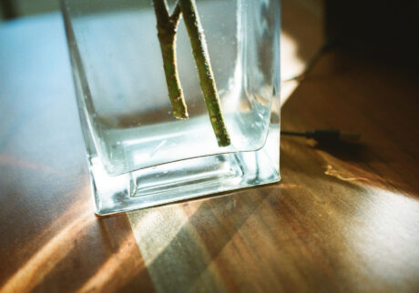 今月の写真家、今日の一枚。安藤 マミコ | そこで 今月の写真家、今日の一枚。安藤 マミコ | そこで