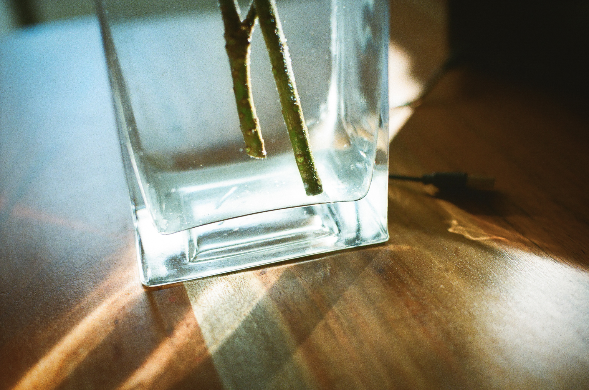 今月の写真家、今日の一枚。安藤 マミコ vol.7