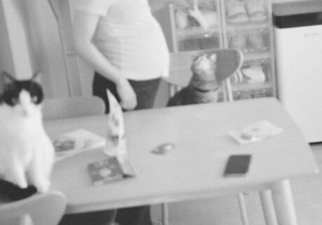 今月の写真家、今日の一枚。安藤 マミコ | 家族 今月の写真家、今日の一枚。安藤 マミコ | 家族