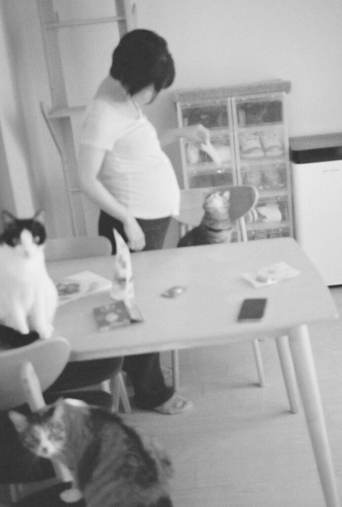 今月の写真家、今日の一枚。安藤 マミコ | 家族 今月の写真家、今日の一枚。安藤 マミコ