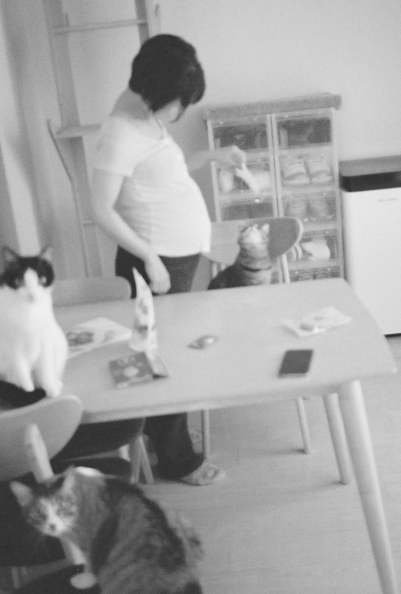 今月の写真家、今日の一枚。安藤 マミコ vol.8