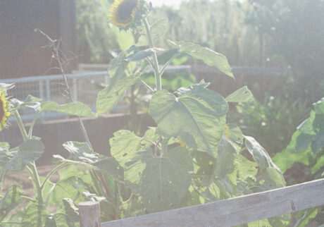 今月の写真家、今日の一枚。安藤 マミコ | 場所 今月の写真家、今日の一枚。安藤 マミコ | 場所