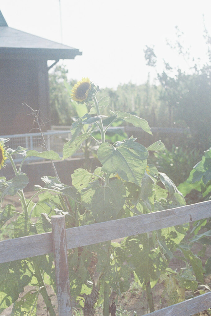 今月の写真家、今日の一枚。安藤 マミコ | 場所 今月の写真家、今日の一枚。安藤 マミコ