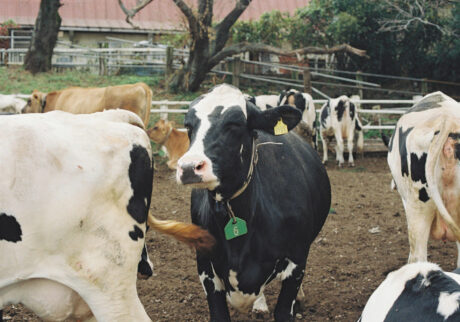今月の写真家、今日の一枚。安藤 マミコ | 大切なこと