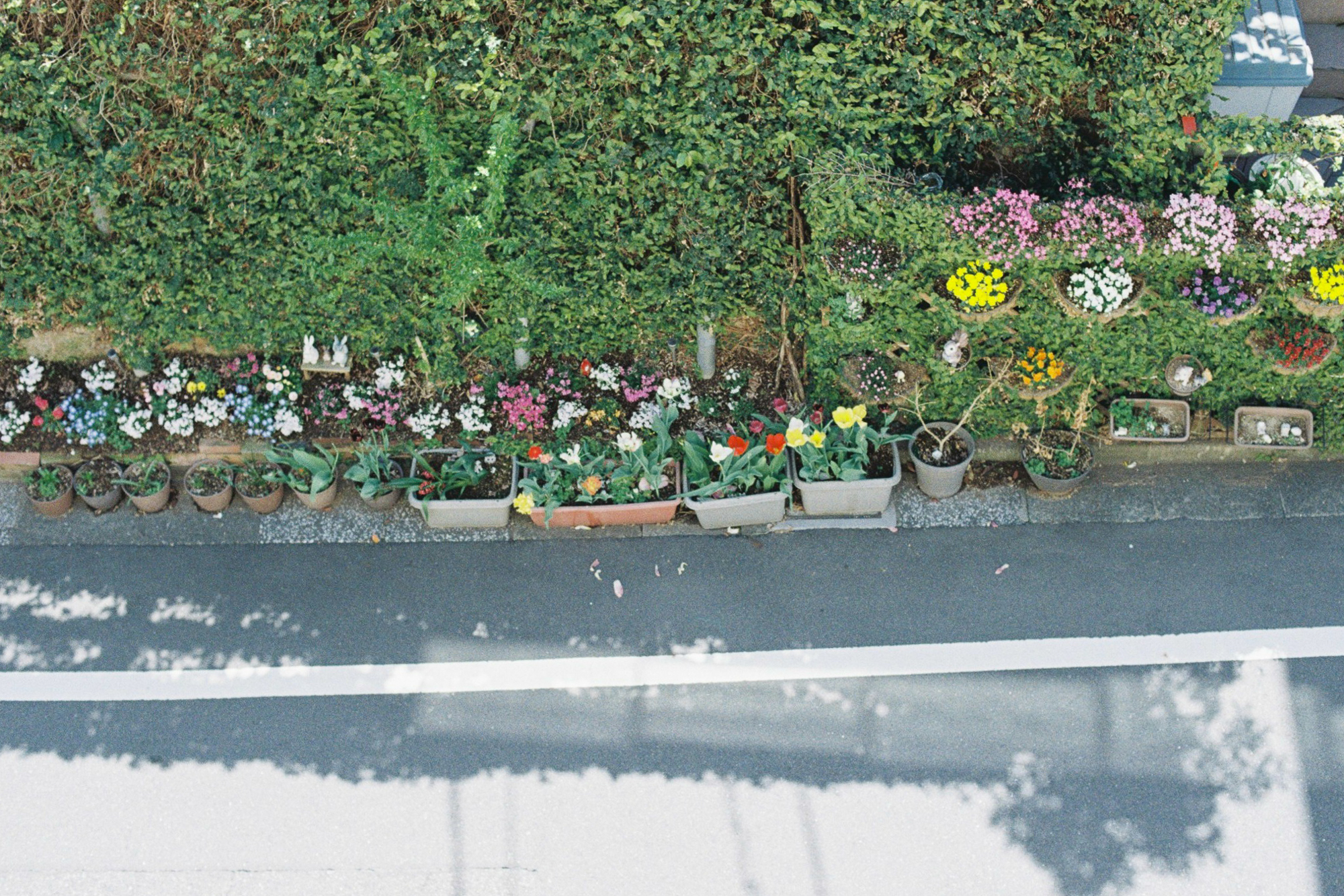 今月の写真家、今日の一枚。安藤 マミコ vol.13