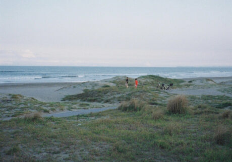 今月の写真家、今日の一枚。安藤 マミコ | 必要