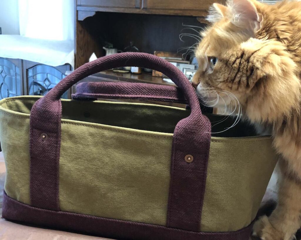 サイズ、間違えてません……？【ふわもこメープルのまどろみ帖。vol.12】 長毛猫 保護猫 メープル | 新入りさんは、まず検品しなきゃね。