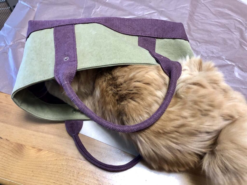 サイズ、間違えてません……？【ふわもこメープルのまどろみ帖。vol.12】 長毛猫 保護猫 メープル | おかーさん、サイズ間違えてない？