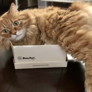 あれ？ 入りきらない？【ふわもこメープルのまどろみ帖。vol.16】 長毛猫 保護猫 メープル | よっこらしょっと。