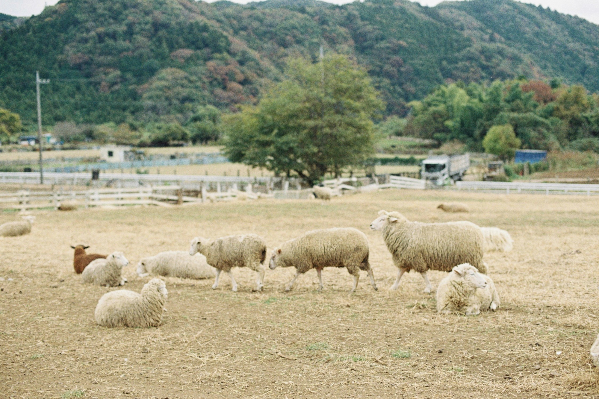 今月の写真家、今日の一枚。安藤 マミコ vol.15