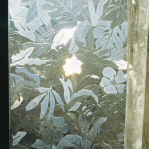 今月の写真家、今日の一枚。安藤 マミコ | おかえり