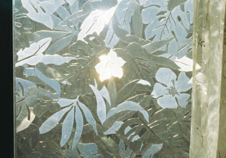 今月の写真家、今日の一枚。安藤 マミコ | おかえり