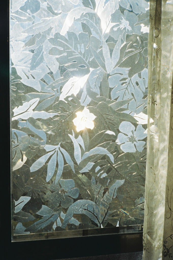 今月の写真家、今日の一枚。安藤 マミコ