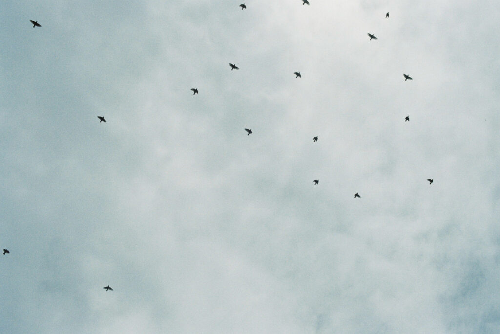 今月の写真家、今日の一枚。安藤 マミコ