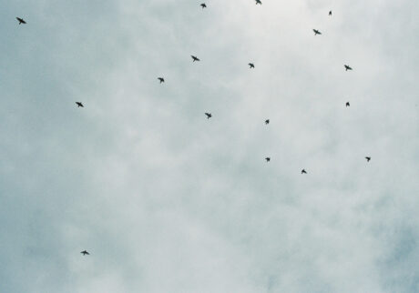 今月の写真家、今日の一枚。安藤 マミコ | みんな 今月の写真家、今日の一枚。安藤 マミコ | みんな