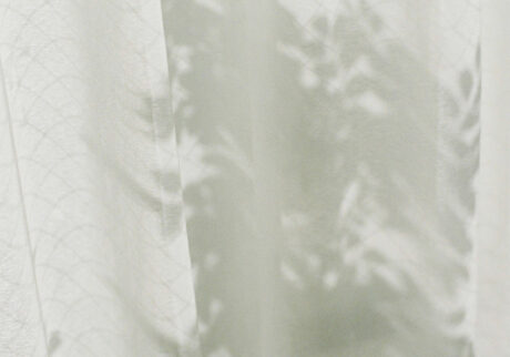 今月の写真家、今日の一枚。安藤 マミコ | 生活 今月の写真家、今日の一枚。安藤 マミコ | 生活