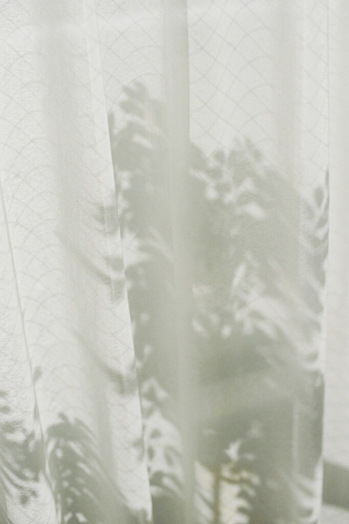 今月の写真家、今日の一枚。安藤 マミコ