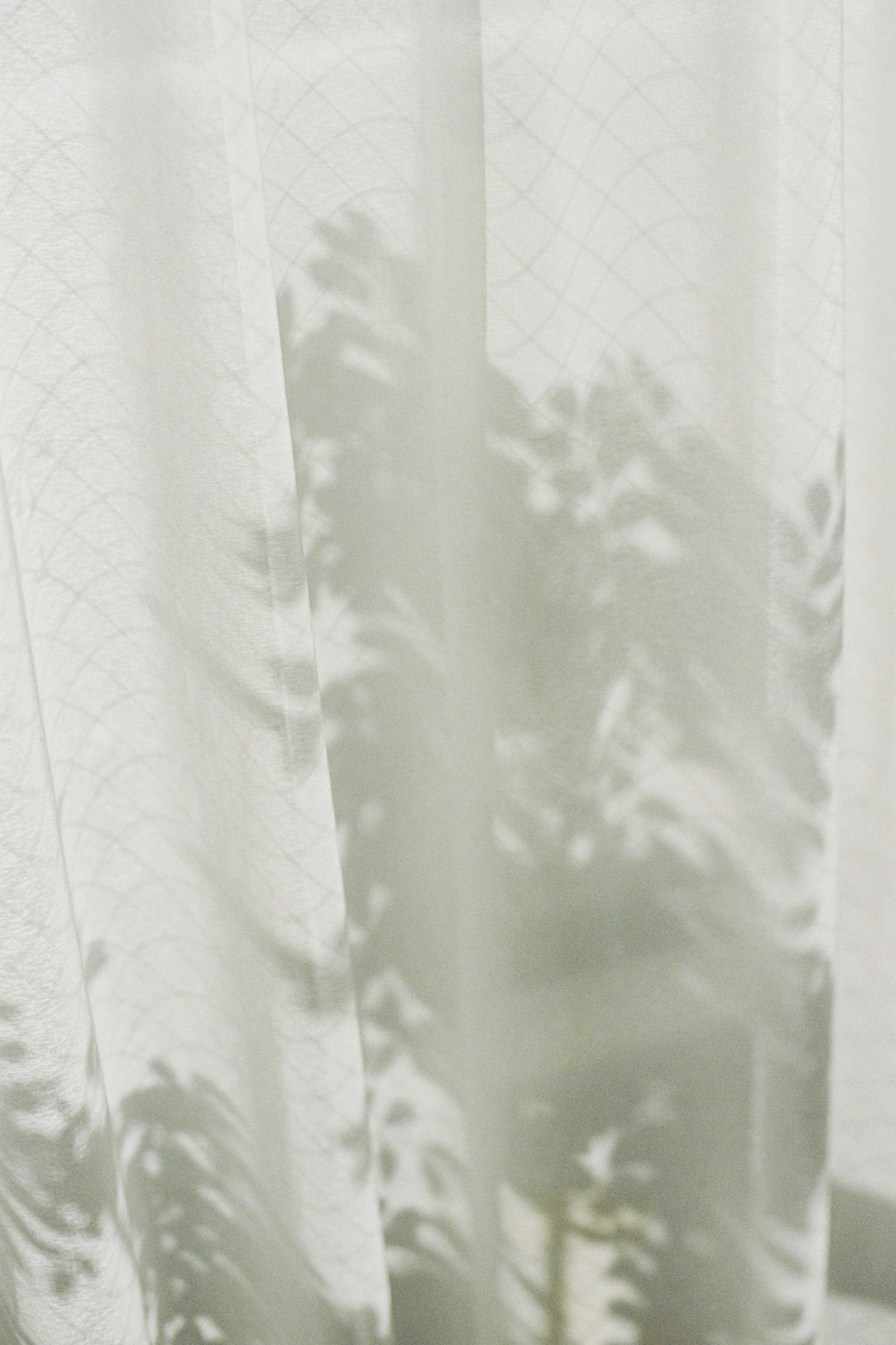 今月の写真家、今日の一枚。安藤 マミコ vol.26