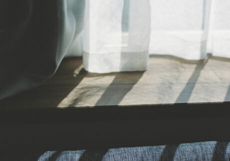 今月の写真家、今日の一枚。安藤 マミコ | 感謝