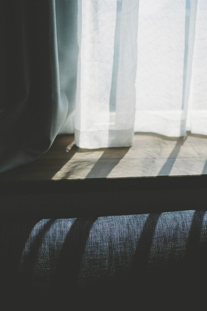 今月の写真家、今日の一枚。安藤 マミコ