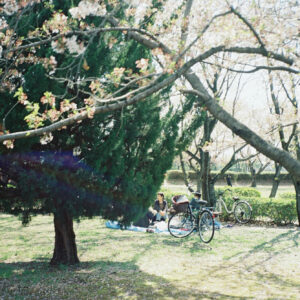 今月の写真家、今日の一枚。安藤 マミコ | 流れ