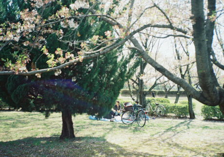 今月の写真家、今日の一枚。安藤 マミコ | 流れ 今月の写真家、今日の一枚。安藤 マミコ | 流れ