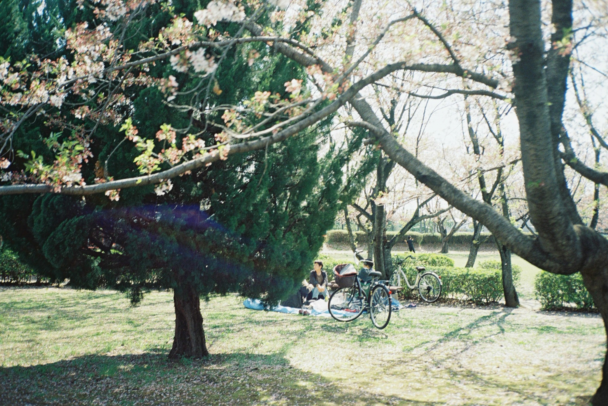 今月の写真家、今日の一枚。安藤 マミコ vol.29