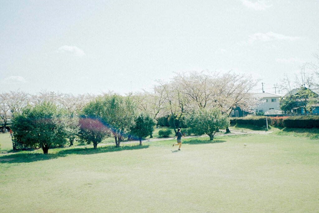 今月の写真家、今日の一枚。安藤 マミコ