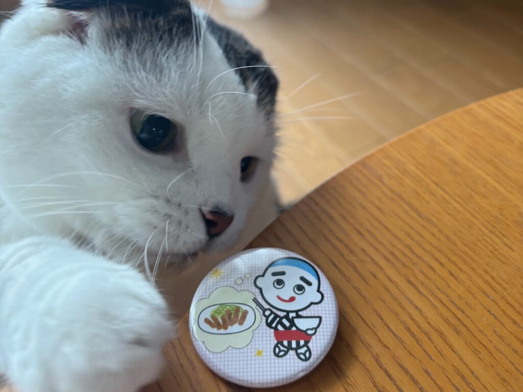 ゆるかわには目がないねん。スコティッシュフォールド いなほ | 三重県四日市市のマスコットキャラクター「こにゅうどうくん」のグッズ。飼い主がお友達からもらったんやってー。ゆるくてかわいいものが好きやからなー。 ゆるかわには目がないねん。スコティッシュフォールド いなほ | 三重県四日市市のマスコットキャラクター「こにゅうどうくん」のグッズ。飼い主がお友達からもらったんやってー。ゆるくてかわいいものが好きやからなー。