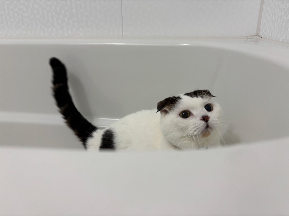 今日は「いい風呂」の日！【いなほ、オレ物語。vol.258】