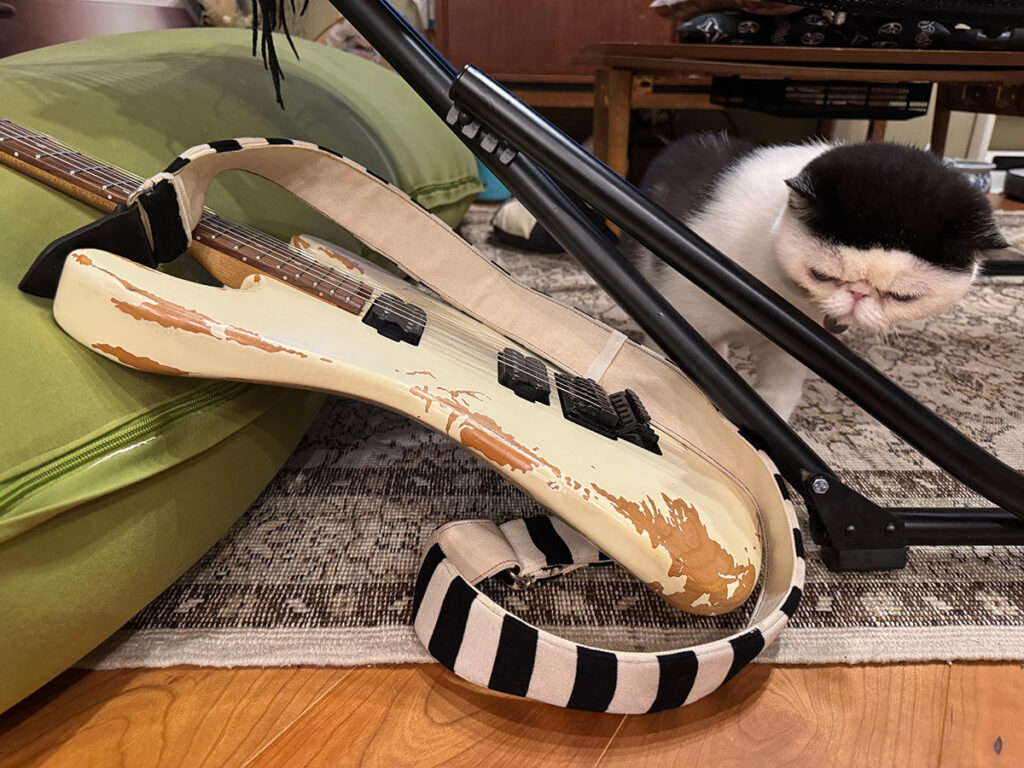 逃げ足の速さが自慢のちろり。白黒猫 エキゾチックショートヘア おちょこ ちろり | おちょこ「……ってあれ? ちろり?? もういない。逃げ足だけは早いんだから。お父ちゃんを置いていかないでよ、ぽのぽの……」 逃げ足の速さが自慢のちろり。白黒猫 エキゾチックショートヘア おちょこ ちろり | おちょこ「……ってあれ? ちろり?? もういない。逃げ足だけは早いんだから。お父ちゃんを置いていかないでよ、ぽのぽの……」