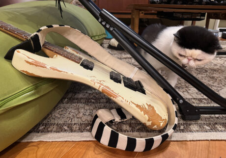 逃げ足の速さが自慢のちろり。白黒猫 エキゾチックショートヘア おちょこ ちろり | おちょこ「……ってあれ? ちろり?? もういない。逃げ足だけは早いんだから。お父ちゃんを置いていかないでよ、ぽのぽの……」 逃げ足の速さが自慢のちろり。白黒猫 エキゾチックショートヘア おちょこ ちろり | おちょこ「……ってあれ? ちろり?? もういない。逃げ足だけは早いんだから。お父ちゃんを置いていかないでよ、ぽのぽの……」