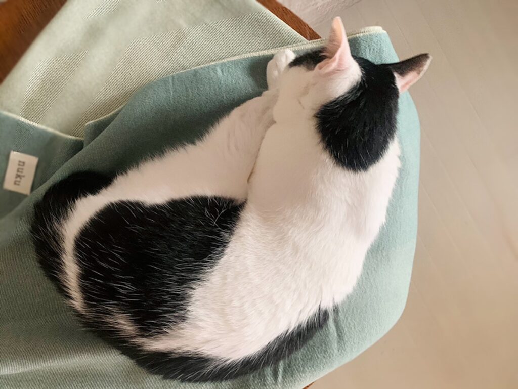 北欧テキスタイル仕様?白黒猫 ハチワレ えいた 北欧テキスタイル仕様?白黒猫 ハチワレ えいた