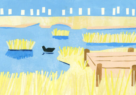 今日１日を、このイラストと。のなか あやみ vol.4 | もぐって浮かんで食べて (佐鳴湖)