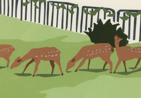 今日１日を、このイラストと。のなか あやみ vol.6 | 食べ歩き (奈良公園)