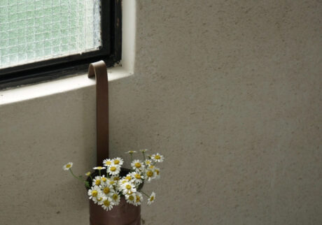 花と過ごす、心ほどける時間。写真と文:齋藤拓磨 (『Hljóð』店主) #4 花と過ごす、心ほどける時間。写真と文:齋藤拓磨 (『Hljóð』店主) #4