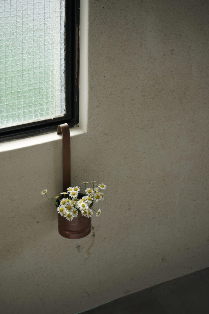 花と過ごす、心ほどける時間。写真と文：齋藤拓磨 (『Hljóð』店主) #4