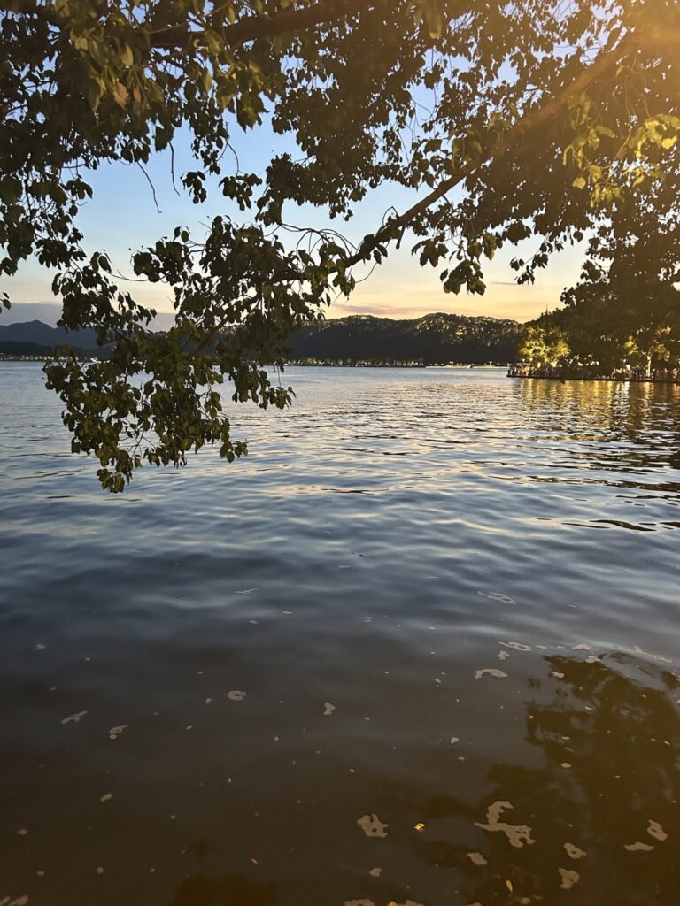 コーマック・マッカーシーの『ブラッド・メリディアン』を読んで。物語を信じるという、自分の心を試す。写真と文：曽我部恵一 (ミュージシャン) #4