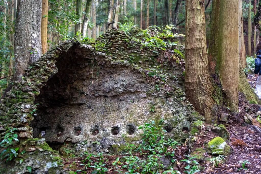 花が彩る温泉街で、萩焼の魅力を堪能。山口県・長門湯本温泉で「うつわの秋」vol.6を開催。 | 山口県の指定文化財でもある「萩焼深川古窯跡群」の本窯跡の見学や田原陶兵衛工房のギャラリー訪問、川床での野点体験など、深川萩の歴史と文化を楽しめる深川窯訪問ツアーを、『SOIL nagatoyumoto』が開催。