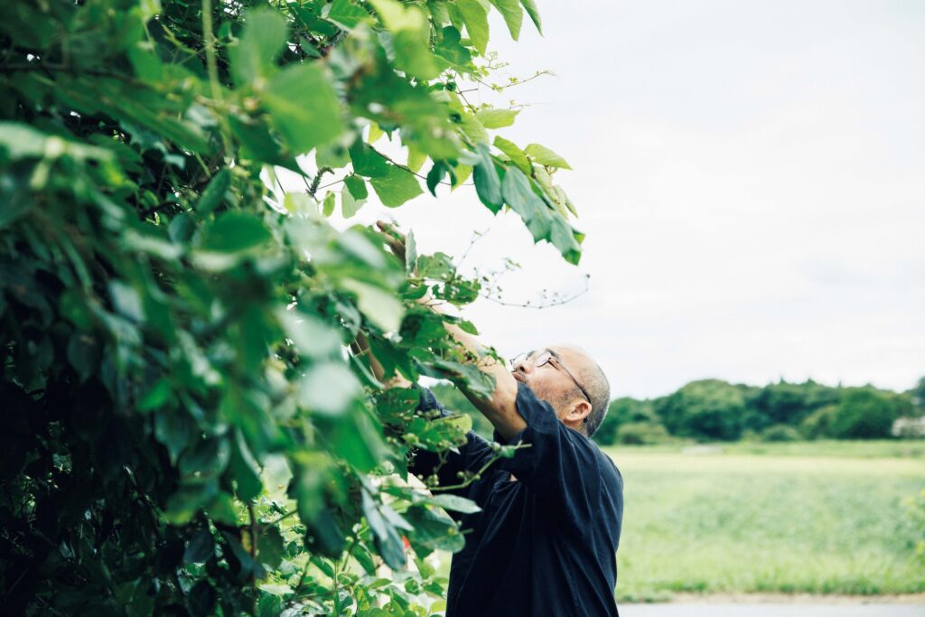 自ら作陶した道具で、"植物"を味わう。陶芸家・茶人、市川 考さんのお茶の楽しみ方。 | 葛の花の香りを添えた熟プーアル茶
「発酵と熟成を経て作られる深い香りの1960年代の熟プーアル茶に、溌剌とした摘み草を加えると、よりいっそう引き立ちます」
葛の花を見つけ嬉しそうな市川さん。 自ら作陶した道具で、"植物"を味わう。陶芸家・茶人、市川 考さんのお茶の楽しみ方。 | 葛の花の香りを添えた熟プーアル茶
「発酵と熟成を経て作られる深い香りの1960年代の熟プーアル茶に、溌剌とした摘み草を加えると、よりいっそう引き立ちます」
葛の花を見つけ嬉しそうな市川さん。