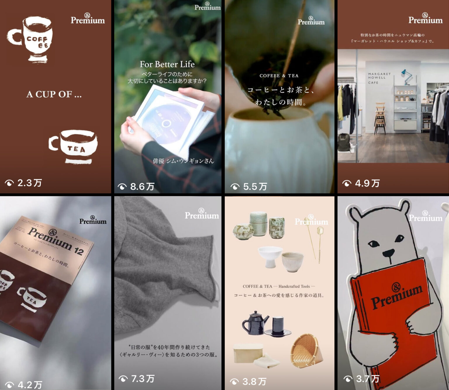 &premium instagram Reels