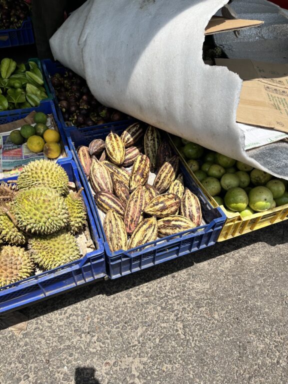 カカオの豆 (中央) が、こんなふうに売られているのはなかなか見ない光景。右隣はアボカド、左はドリアン。ずいぶんと立派ですよね。